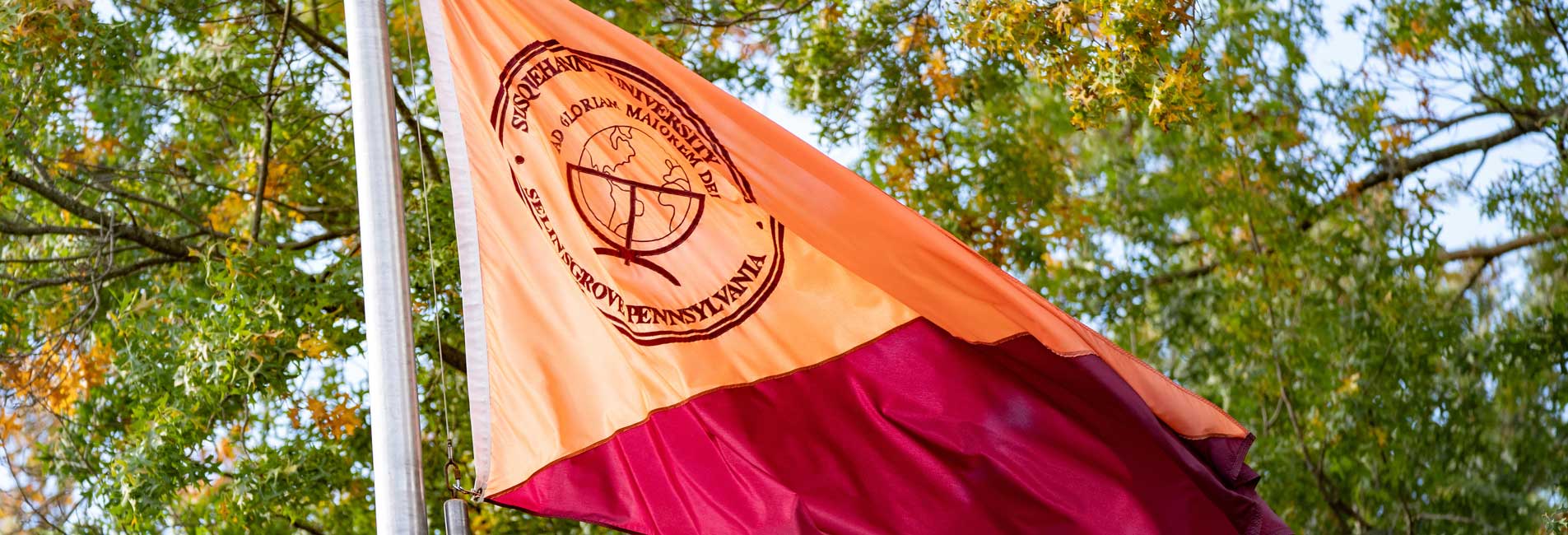 college flag