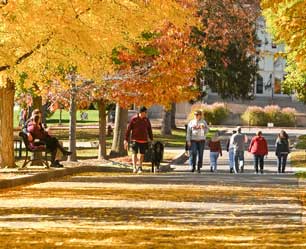 campus in a fall